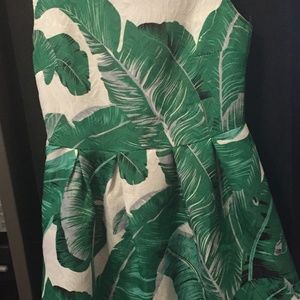 Adorable Girl Tween dress